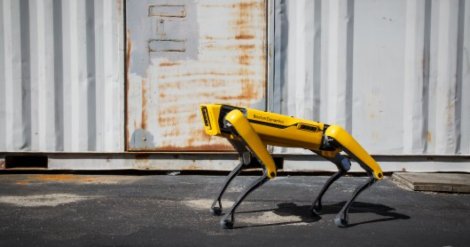 Boston Dynamics выпустила SDK для роботов Spot. Теперь для них можно писать приложения