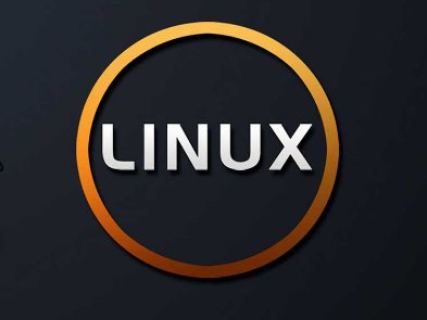 Лучшие дистрибутивы Linux для программирования