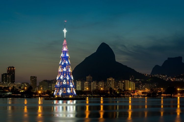 Технологичные и не только: семь самых удивительных рождественских елок мира