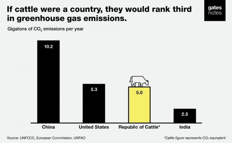 Билл Гейтс: почему не только «зелёная» энергетика должна спасти планету от потепления