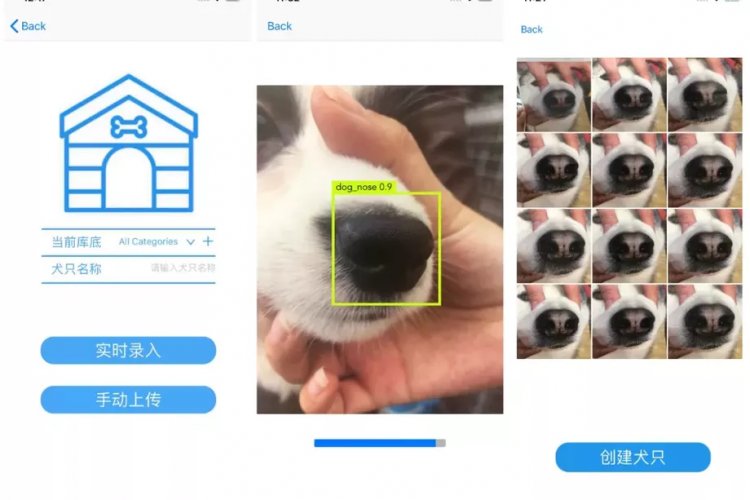 Китайский стартап научился распознавать собак по отпечатку носа