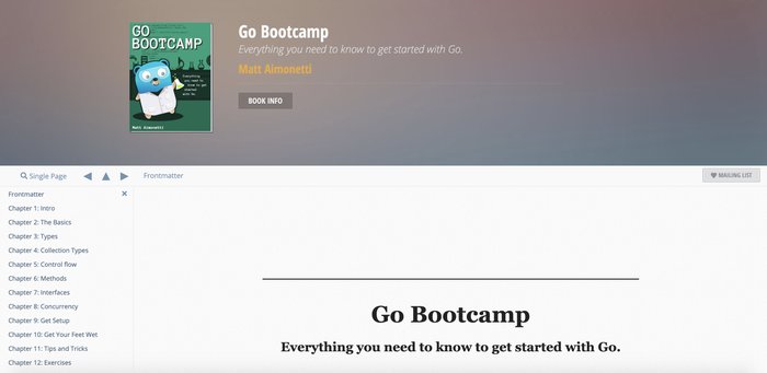 Golangbootcamp.com курс