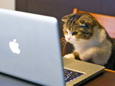 Работайте ради денег, а не ради удовольствия. 19 советов, которые помогут программисту сделать карьеру