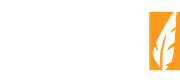 New Tribe Agency Ukraine