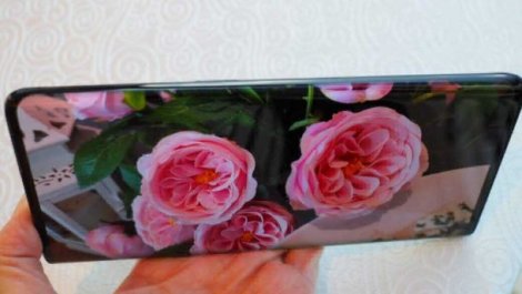 Vivo Nex 3 з унікальним дисплеєм можна замовити в Україні: ціна