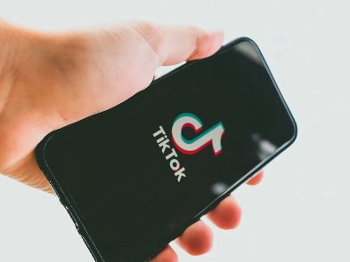 В Раде появится диджитал-директор, который будет освещать работу парламента в TikTok