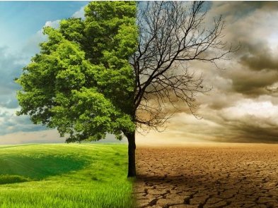 Розробили сайт, що показує зміни температури на планеті з 1901 до 2018 року