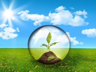 Переможці Національного онлайн етапу Еко-Техно Україна міжнародного конкурсу ISEF готуються представити країну на всесвітньому віртуальному фіналі в США