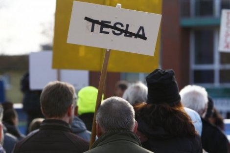 Протести проти Tesla: німецький суд заборонив компанії вирубувати дерева біля Берліна