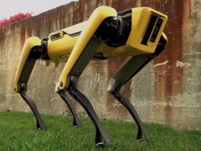 Руйнівник міфів випробував можливості робопса Boston Dynamics