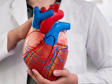 Штучний інтелект був успішно навчений передбачати серцеві захворювання