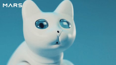 Китайці розробили дуже милого робота-кота: що він вміє