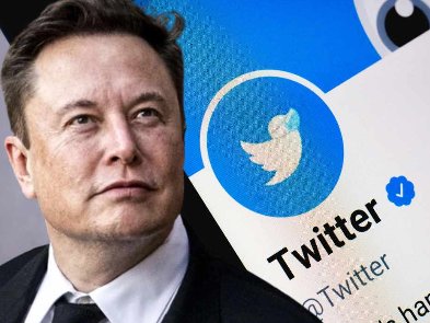 Ілон Маск звільняє тих, хто його критикує — постраждали близько 20 співробітників Twitter