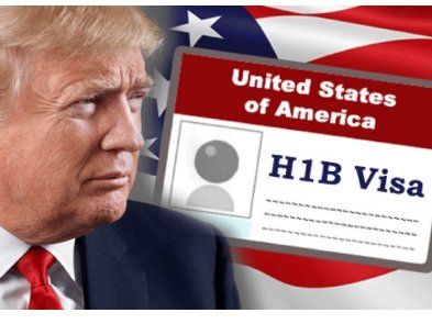 Трамп заблокировал визу H-1B, по которой программисты могли трудоустроиться в США