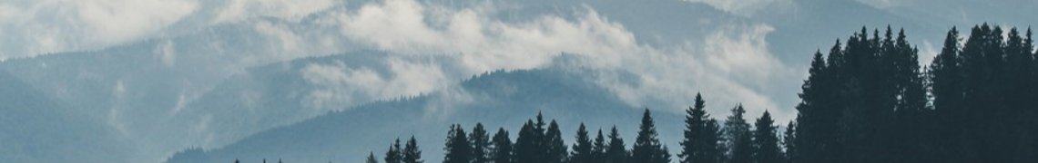 Oleksandr Sendulskyi